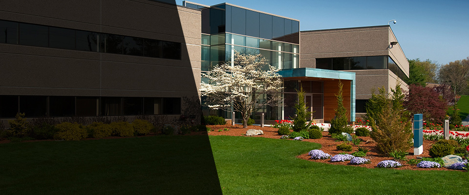 Lorton Landscapers