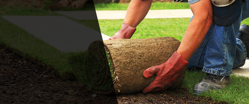 Lorton Landscapers